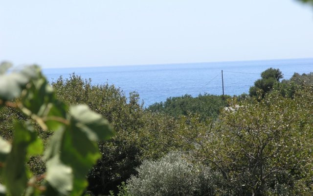 Olive Tree Cottages