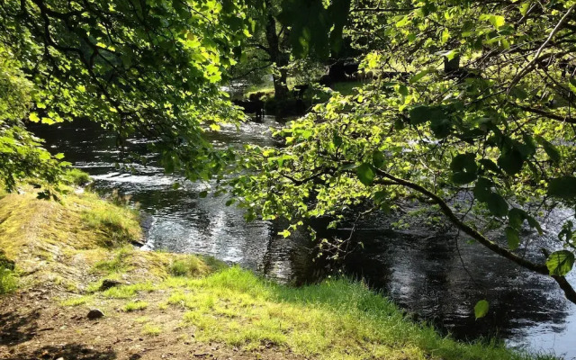Cysgod y Coed Self Catering Accommodation