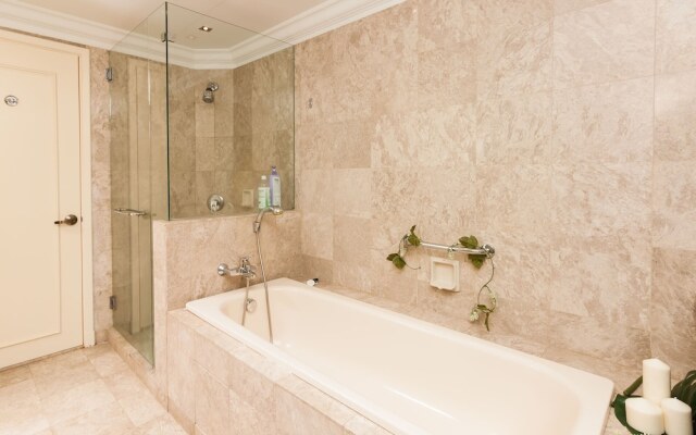 Times Square 1 by Plush