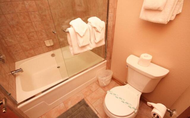 Mountainback #59 dog friendly