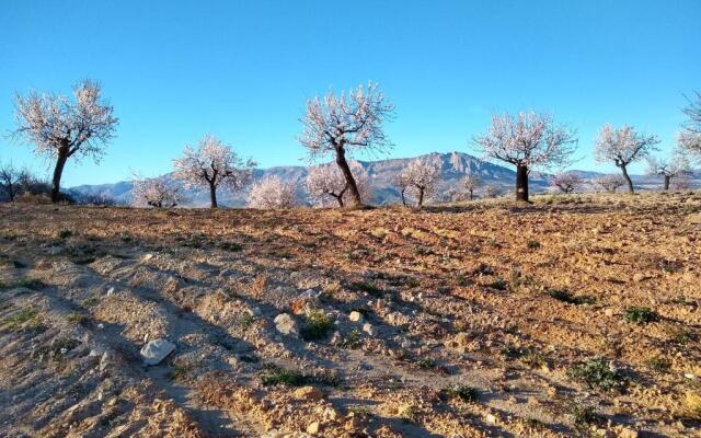 Cortijo La Estrella