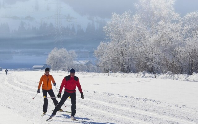 Cozy Holiday Home in Salzburg Near Ski Area