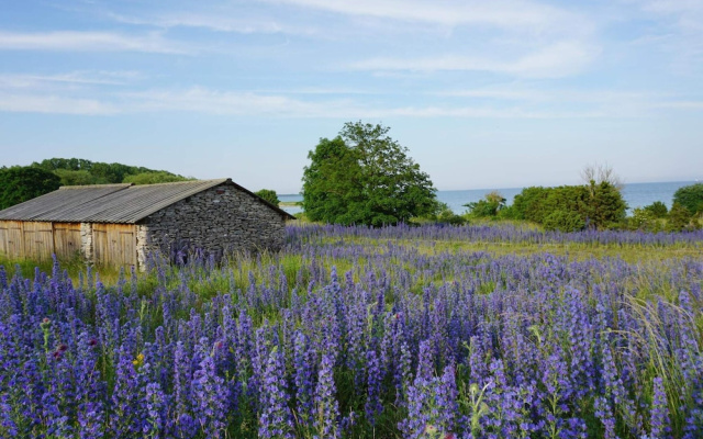 Holiday Home in Slite
