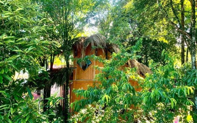 Sapa Jungle Pub  Homestay