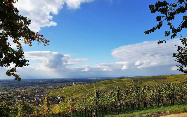 Apart Hotel Freiburg