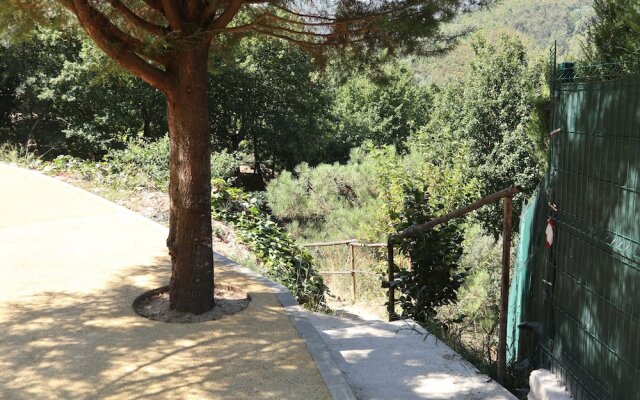 Cantinho das Oliveiras