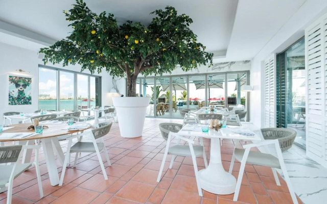 Th8 Palm Dubai Beach Resort, Vignette Collection, by IHG