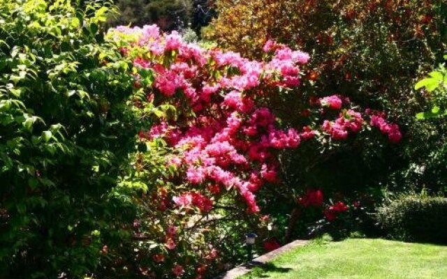 Eleanor Gorrie B & B