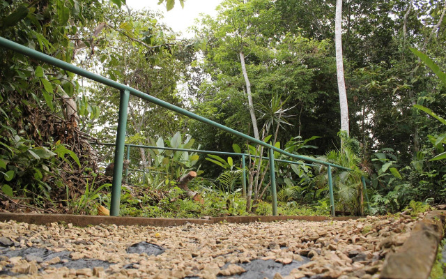 Summit Rainforest & Golf Resort