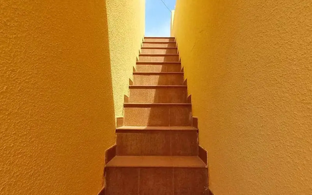 Apartamentos Los Palmitos 3000