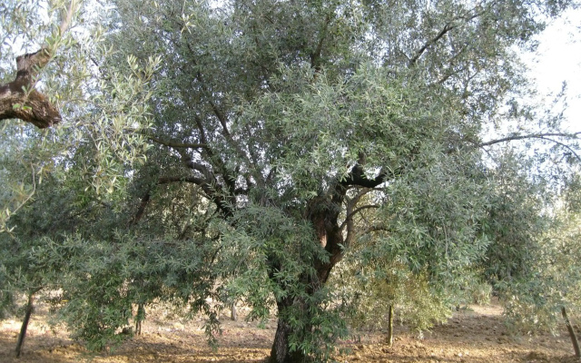La Locanda di Campagna