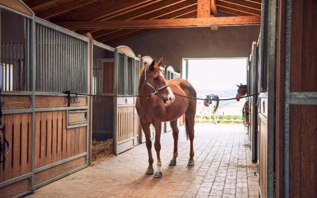 Diacceroni B&B Organic Farmhouse