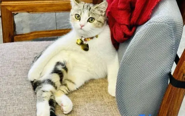 Wuzhishan Yisuli Theme Hotel