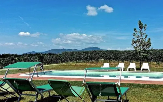 Pisa Toscana (GVS121)