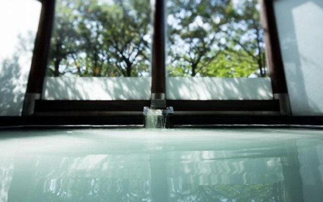 Caro Foresta Nasu Kogen Volpe