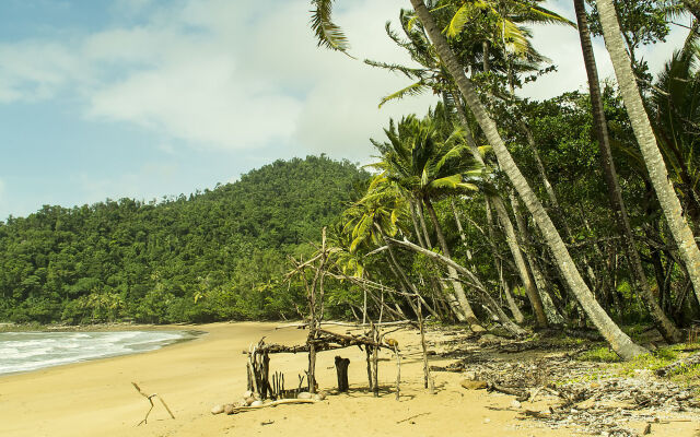 Driftwood Bed and Breakfast