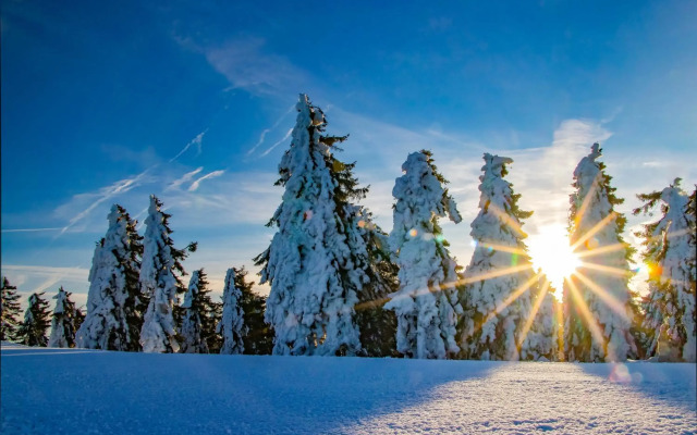 SCANDIC Apartments Plešivec