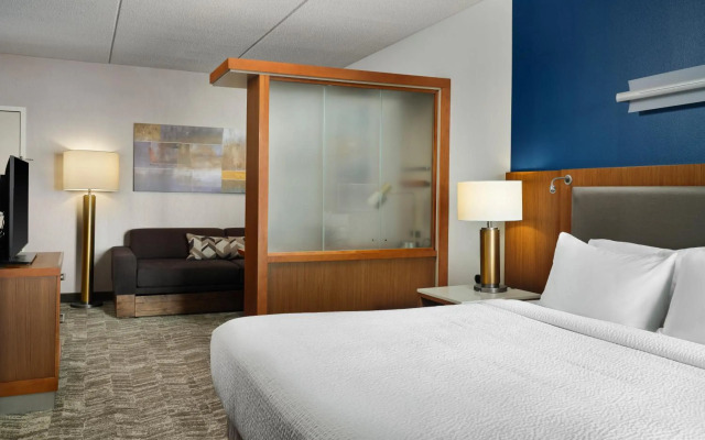 Springhill Suites by Marriott Pittsburgh Mt. Lebanon