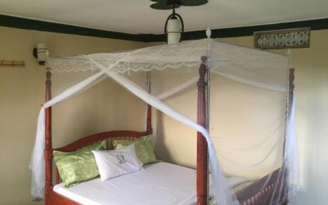Ecomarvels Gorilla Resort