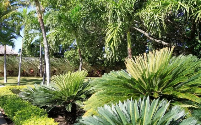 Sosua Garden Condo