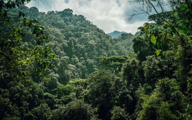 One&Only Nyungwe House