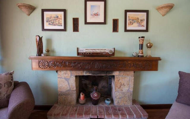 Olive Tree Studio