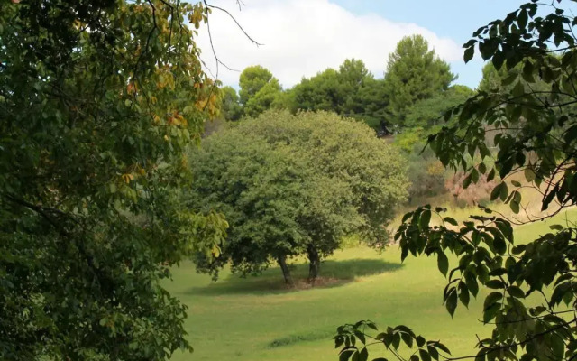 Glamping Poggio Imperiale Marche