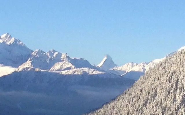 Appartementhaus Zurschmitten 15