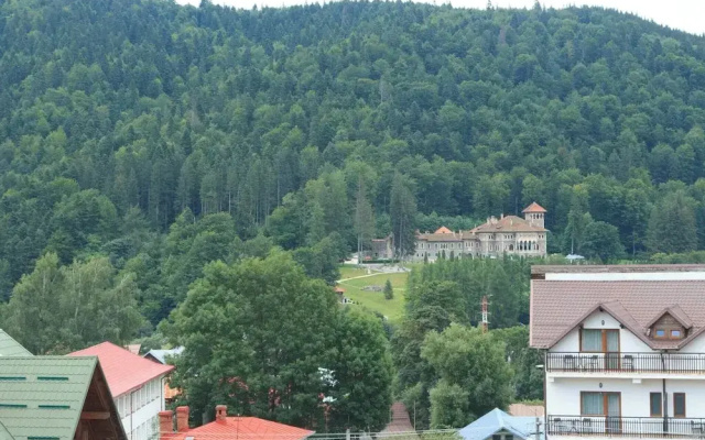 Mountain Valley View
