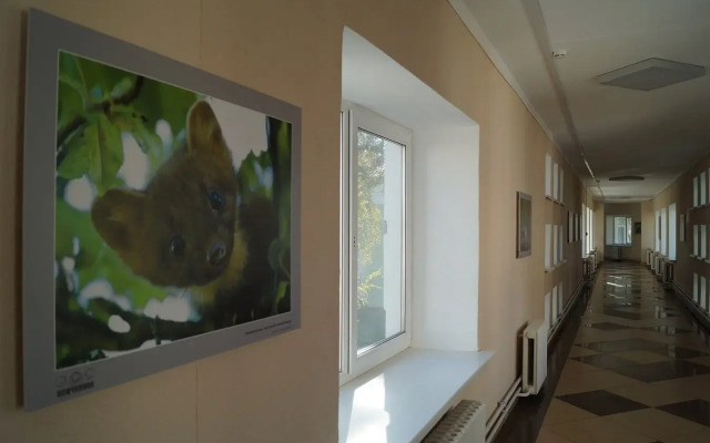 Жемчужина (Витебская)