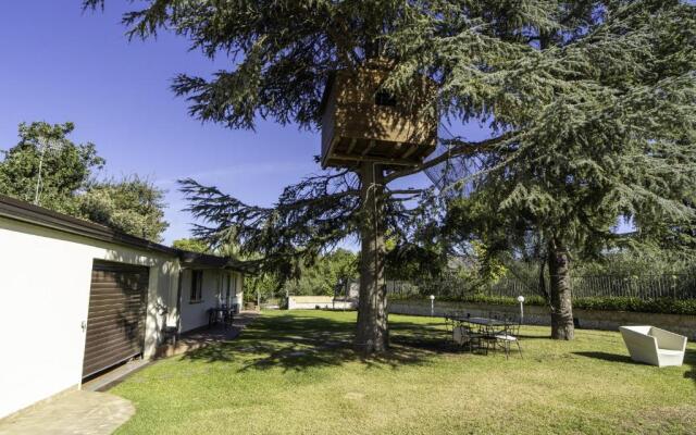 Villa Romeo with tree house