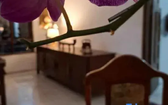 Santalum Hotel Yogyakarta