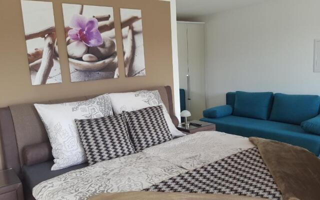 Ferienwohnung und Zimmer zum Donaublick