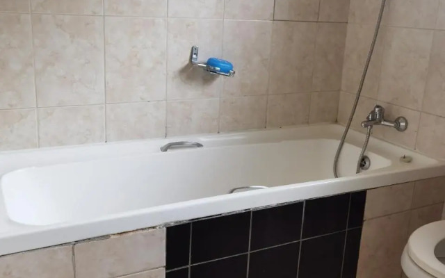 Birch Street Homestead