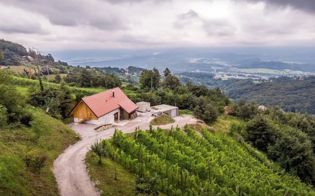 Vineyard cottage Škatlar 3