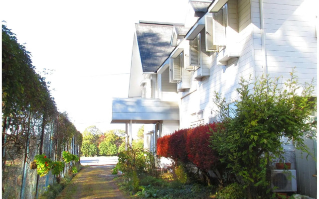Pension White Clover