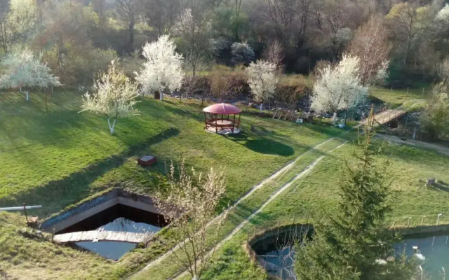 Bungalows Zdravets