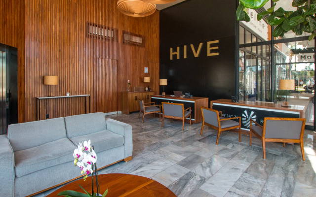 Hive Cancun