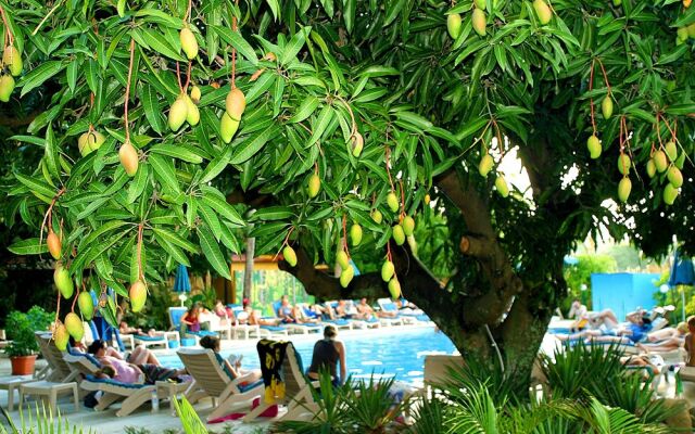 Nadi Bay Resort