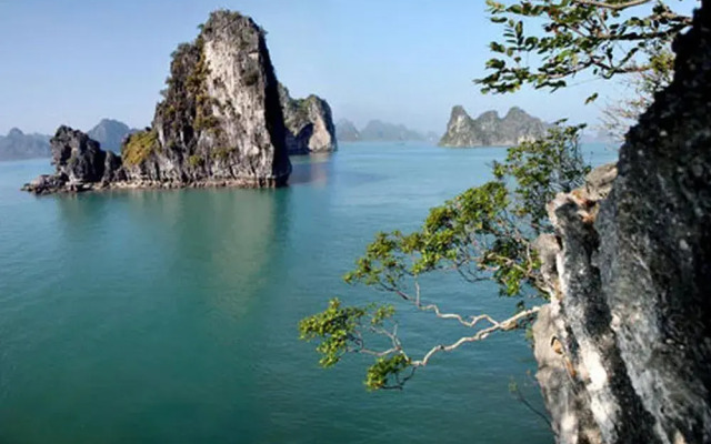 Halong Victory Cruise