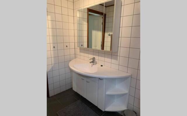 Roodborstje 4 persoonschalet Putten