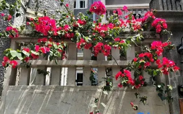 Xiamen Gulangyu Aifeier Hotel Guanglangyu Blue Island Branch