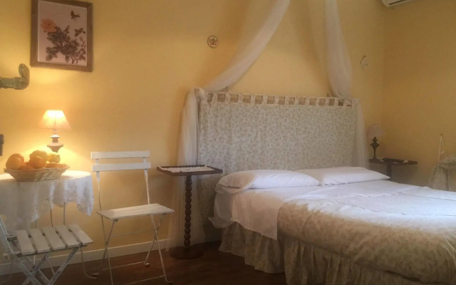 B&B Xenia