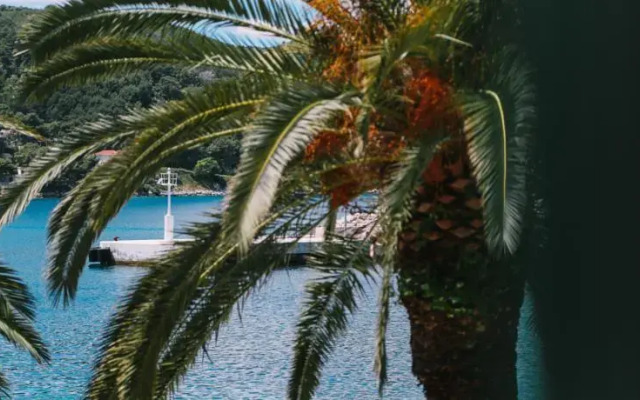 Seafront vacation house w JACUZZI 5 meters from beach