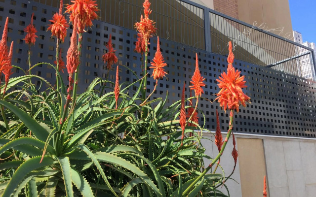 Junto PLAYA, Gemelos 23 con 2 baños Excelente opcion