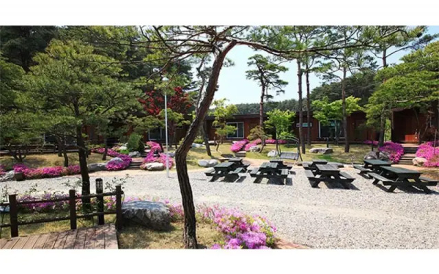 Gangneung GPway Pension