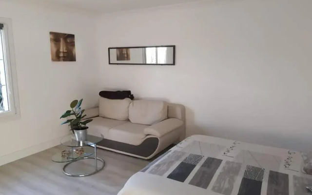 T1 DE 45M2 CLIMATISE, SPA, au milieu des oliviers