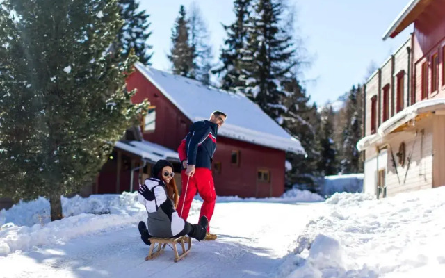Berg- & Erlebnis-Resort MarktlAlm - Chalets & Lodges