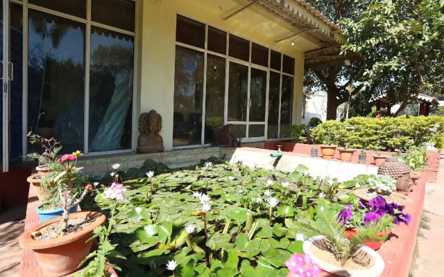 Collection O 29068 The Green Petal Resort