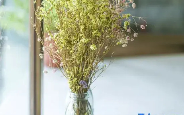 Poshtel (Canton Tower Consulate)